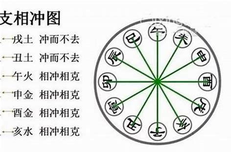 八字冲|八字中的「冲、害、刑」是什么？